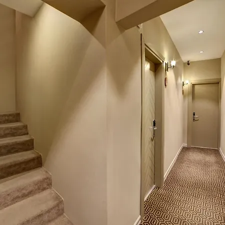 Hotel Almina - Special Class 4*