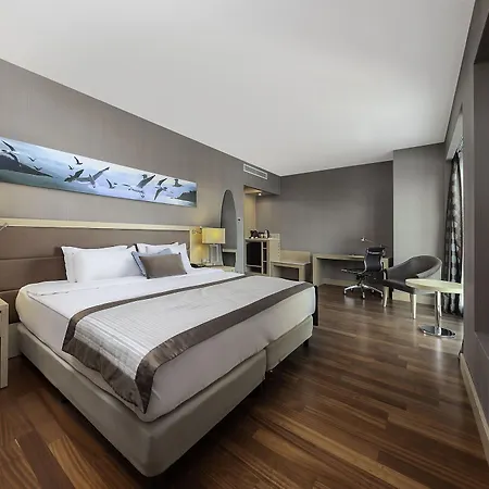 Dedeman Bostanci & Convention Center מלון 5*