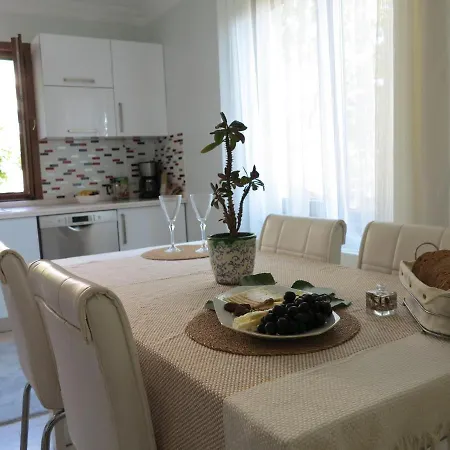 Villa Unique & Quite, Bosphorus Villa, Great Sea View Patio,barbecue Istanbul