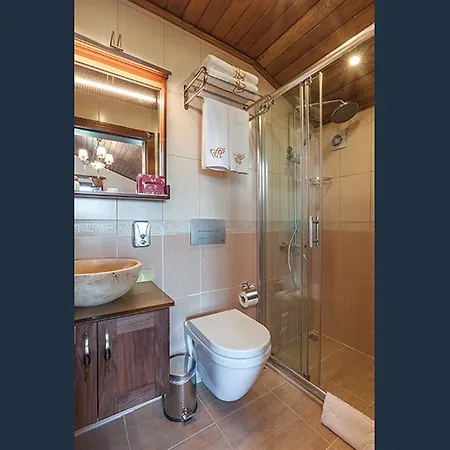 Отель Ferman Hotel-special Category Стамбул