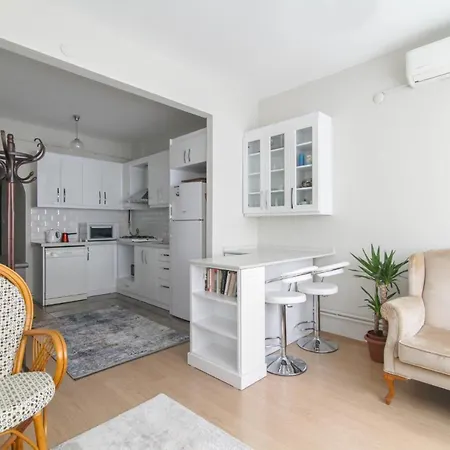Fully Furnished Stylishly Designed Flat In Sisli Apartment