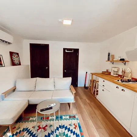 Flat In Ortakoey 이스탄불
