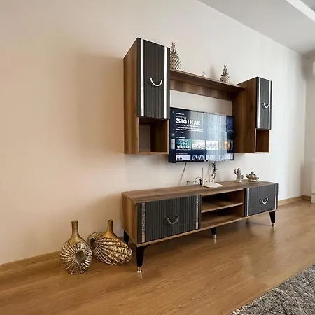 Apartment Cozy 1 1 Living Istanbul