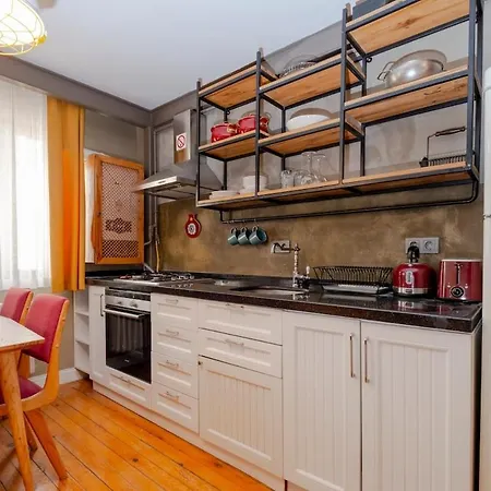 Cosy With Lofty Ceilings Apartment Istanbul