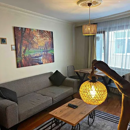 Appartement Cozy In A Good Location Istambul