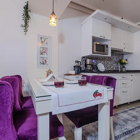 Aparthotel Taksim Nil Provincia di Istanbul