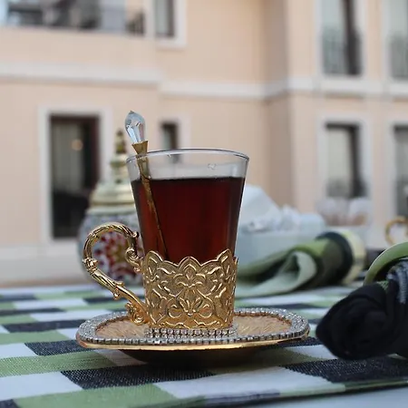 Elisa Hotel