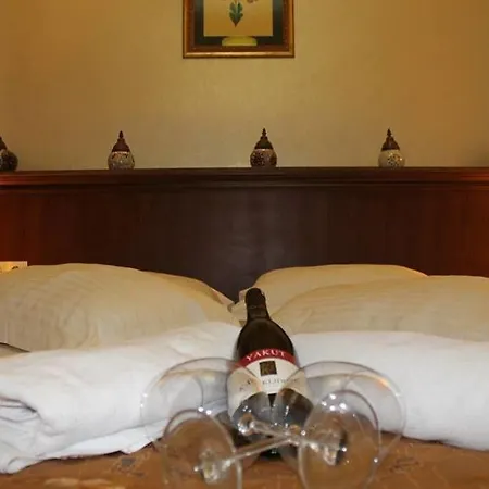 Elisa Hotel Bed & Breakfast Istanbul