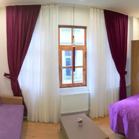 Bonica Hotel
