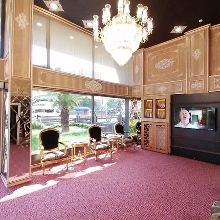 Palmiye Istanbul