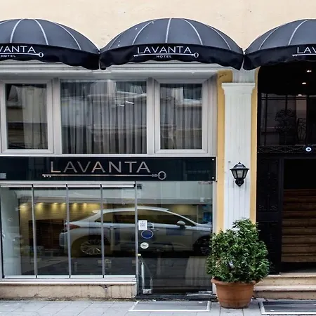 Lavanta Istanbul