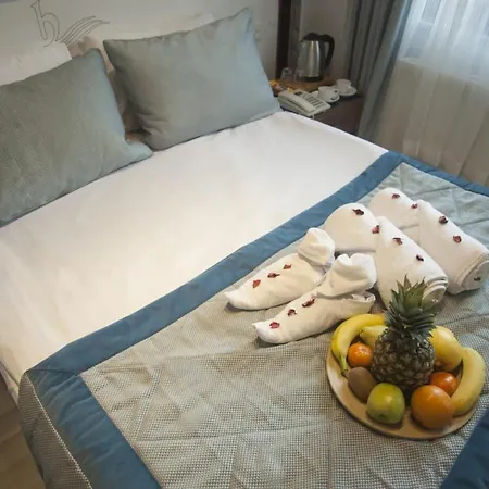 Grand Esen Boutique Provincia di Istanbul