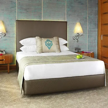 Biz Cevahir Sultanahmet Hotel 4*