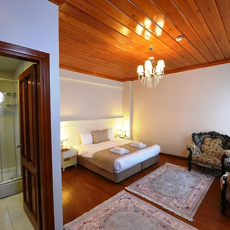 Elyka Hotel 2*
