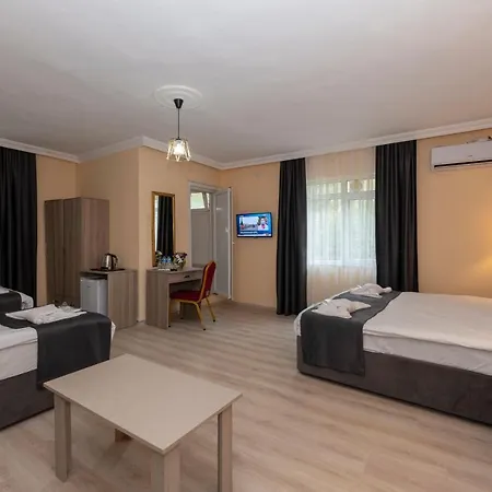 Hotel Golden Flower Istanbul