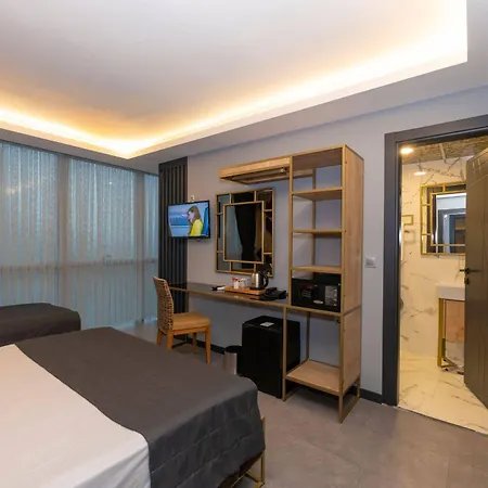 Fly And Airport 3* Istanbulská provincie