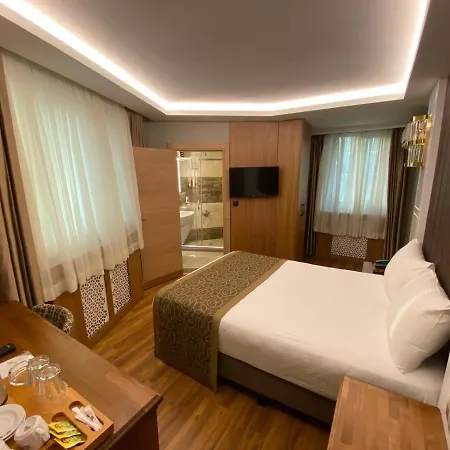 Gumus Palace Gungoren Hotel