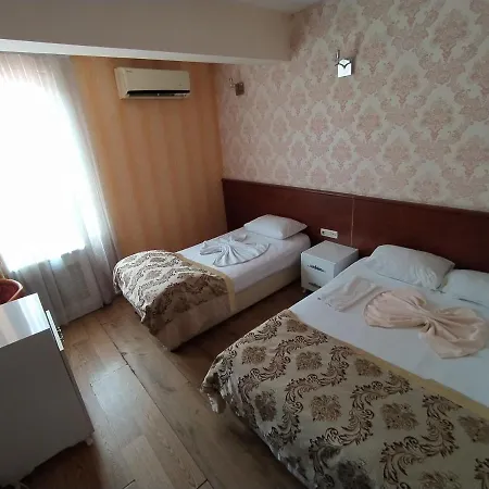 Otel Turvan 3*