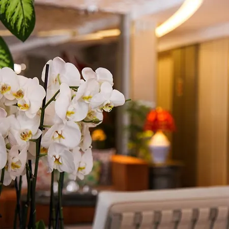 Almina - Special Class Hotel