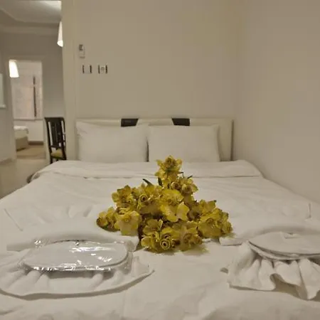Mete Apartment Istanbul