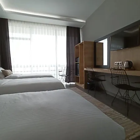 Отель Skylon Airport 3*