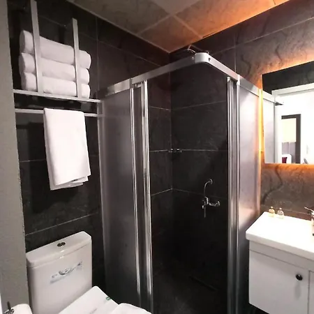 Skylon Airport Отель 3*