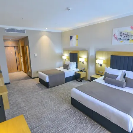 Serenity Comfort