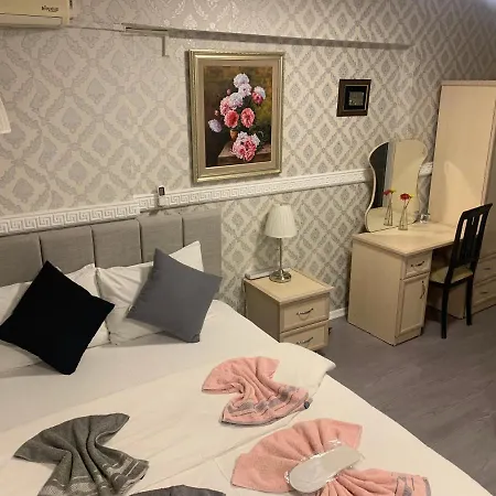 Antik Sofia 3* Provincia di Istanbul
