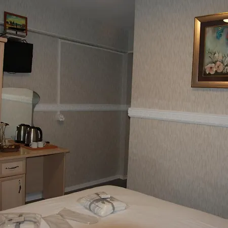 Antik Sofia 3* Provincia di Istanbul