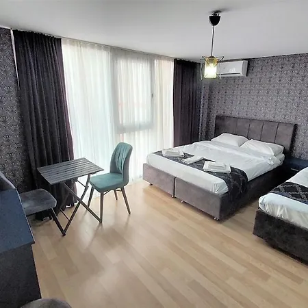 Mini 3*