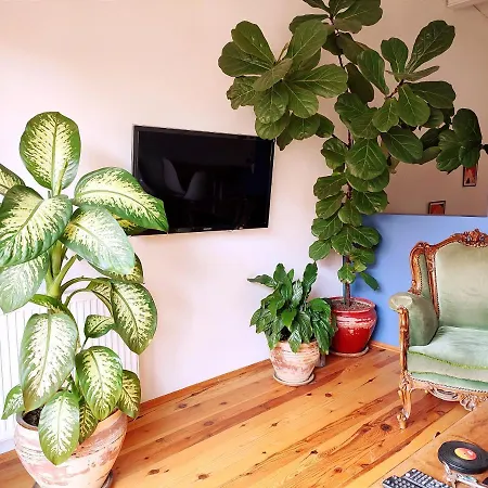 Apartamento Kunterbunt *