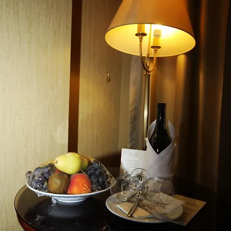 酒店 伊斯坦布尔比莱克酒店 4*