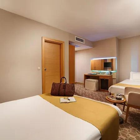 Almina - Special Class Hotel Provincia di Istanbul