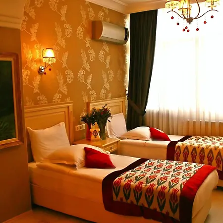 Hotel Divas