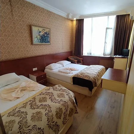 Otel Turvan 3*