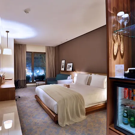 Dosso Dossi & Downtown Hotel Istanboel