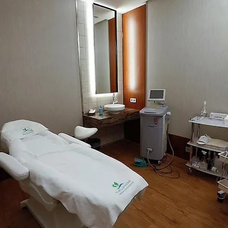 酒店 苏戴越酒店 伊斯坦布尔