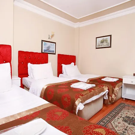 Star Hotel Provincia di Istanbul