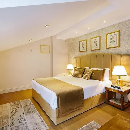 Hotel Delita