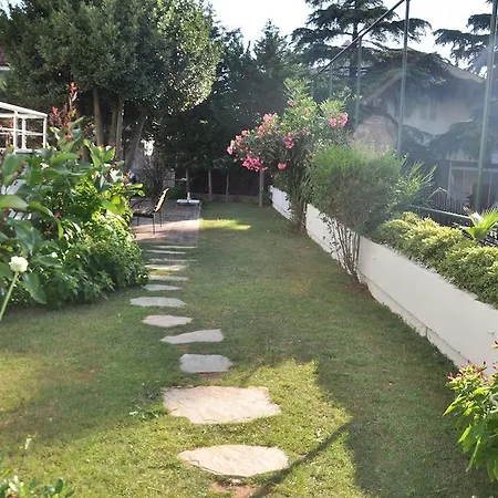 Island 2*