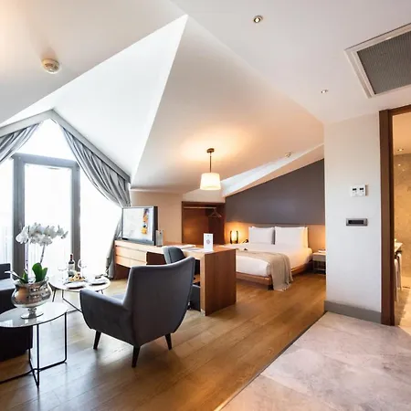 Hotel Dosso Dossi & Downtown Istanboel