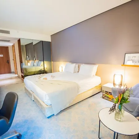 Dosso Dossi & Downtown Hotel Istanboel