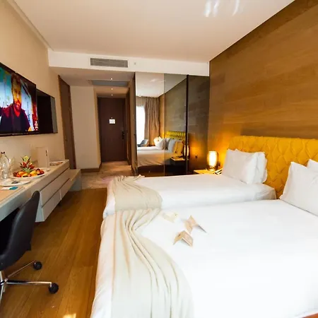 Dosso Dossi & Downtown Hotel Istanboel