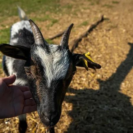 リゾート ポロネズキョイ カントリー クラブ