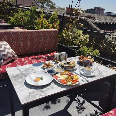 Apple Tree Hotel 3*