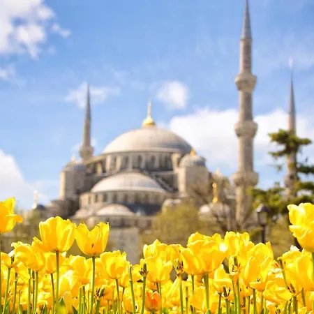 Perazre Istanbul