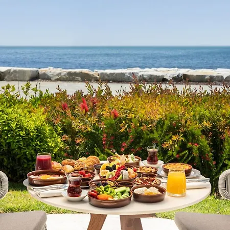 Jw Marriott Marmara Sea 酒店 5*