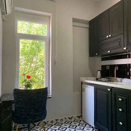 Nearby Taksim Spacious Flat With Duble Bed Istanbul