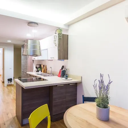 Elegant 2 Bedroom Duplex House With Garden In Cihangir Apartment Istanbul