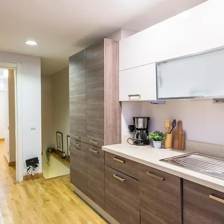 Elegant 2 Bedroom Duplex House With Garden In Cihangir Apartment Istanbul
